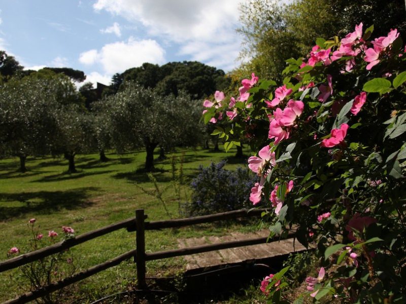 Il Parco di Casacocò