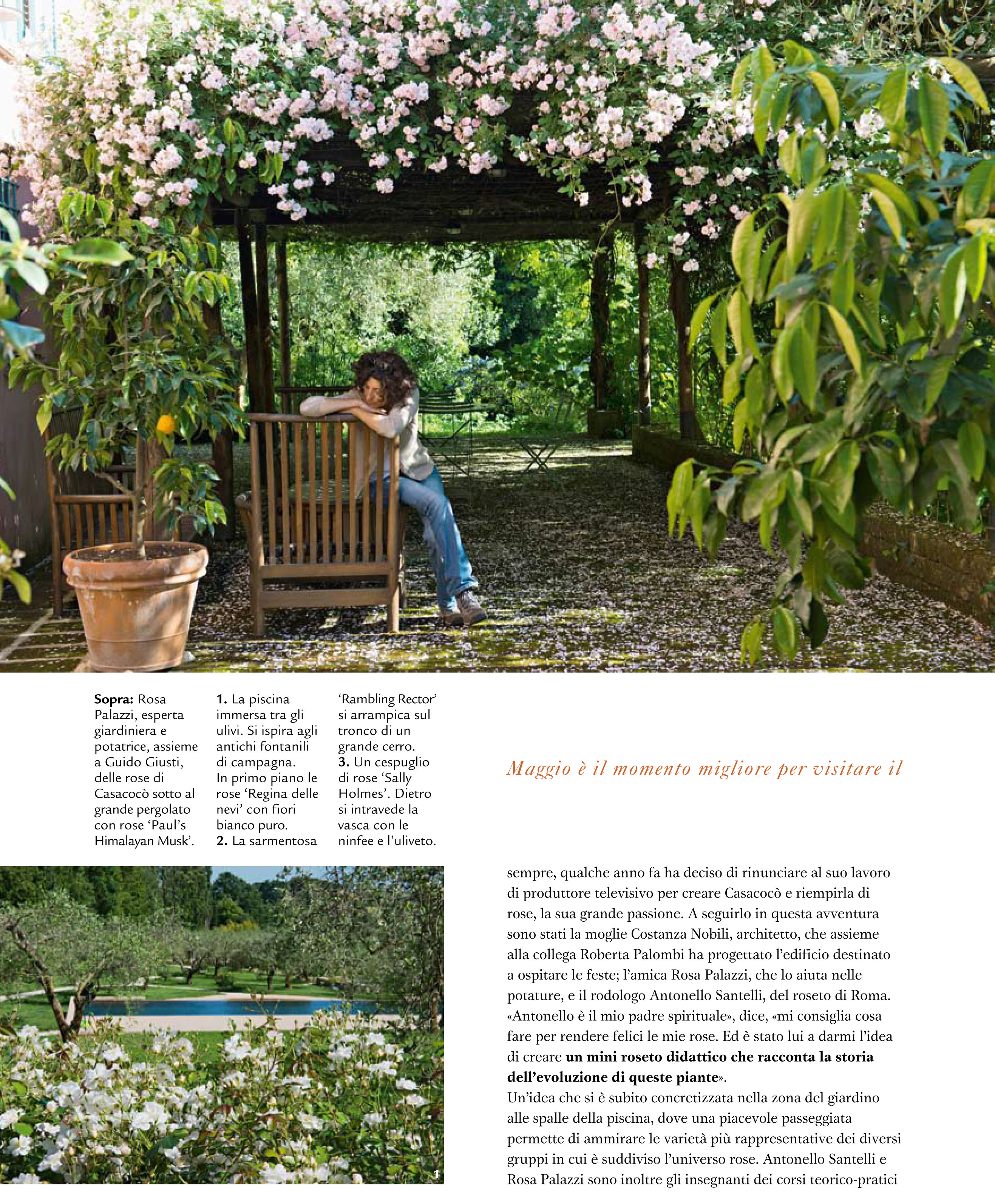 Gardenia October 2014 – Casacocò review