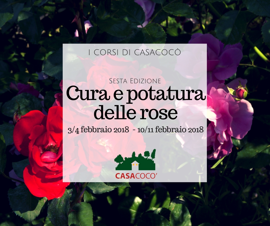 Corsi di cura e potatura delle rose 2018