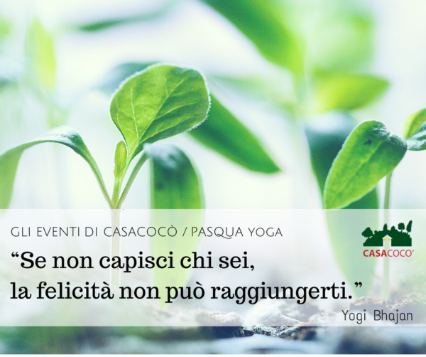 benessere yoga e meditazione