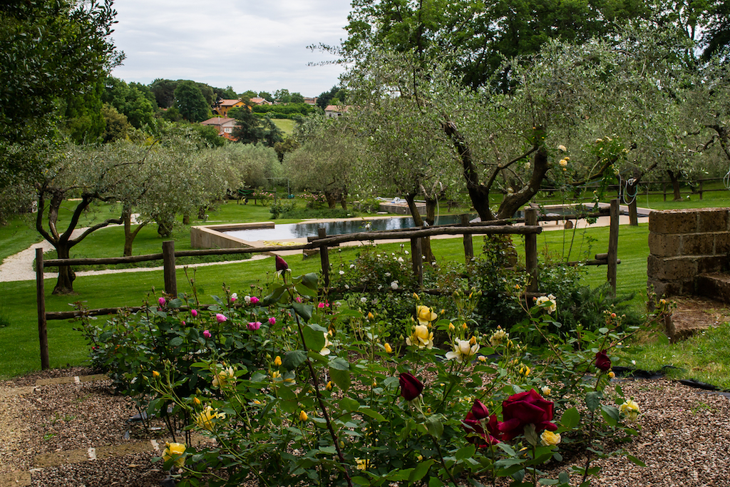 Le rose e la piscina  di Casacocò