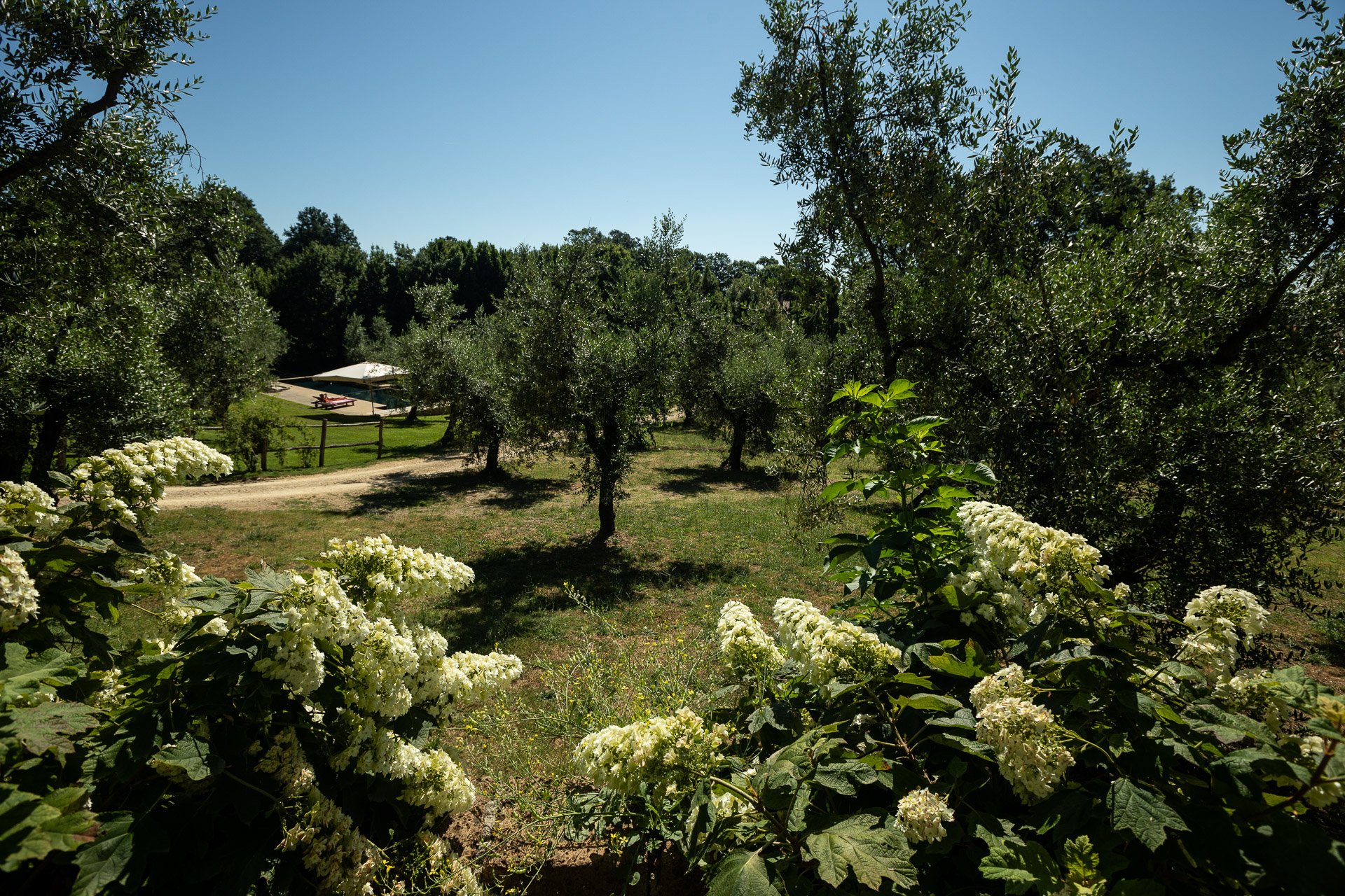Il parco