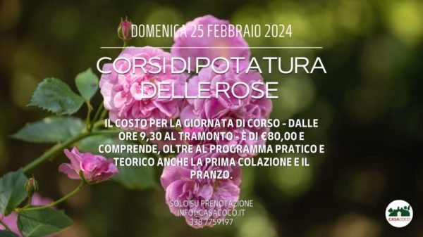 DOMENICA 25 FEBBRAIO 2024